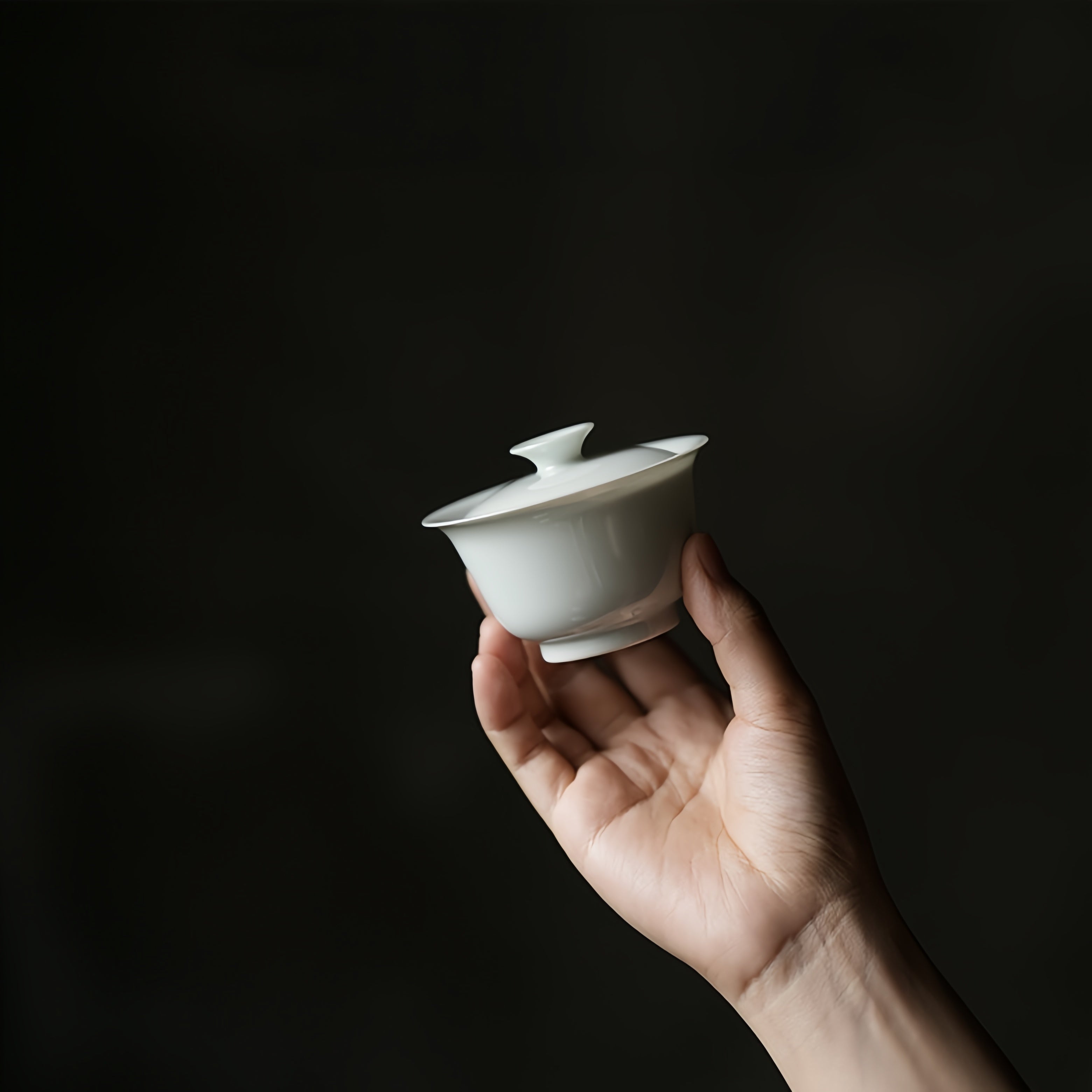 Yi Dai/Er Dai Shen Ping 80/110/130/150cc - Jing De Zhen Porcelain Gaiwan zycschina