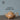Zhi Lan Jia Qi 185cc - Yixing Handmade Teapot