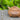 Zhi Lan Jia Qi 185cc - Yixing Handmade Teapot