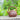 Ti Liang 285cc - Yixing Handmade Teapot