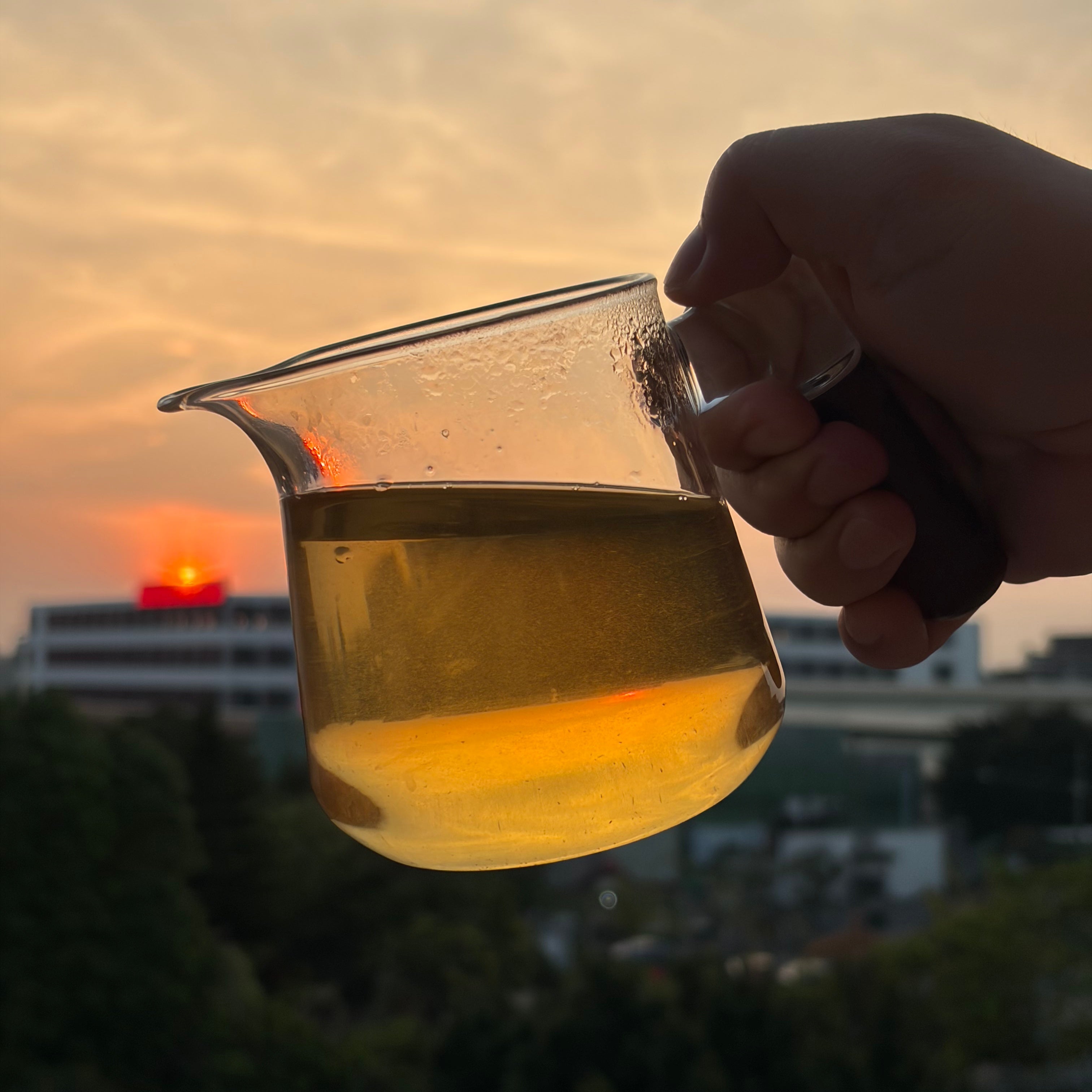 Zhi Chun Pu'er Tea - Fine Tea 【AB】 zycschina
