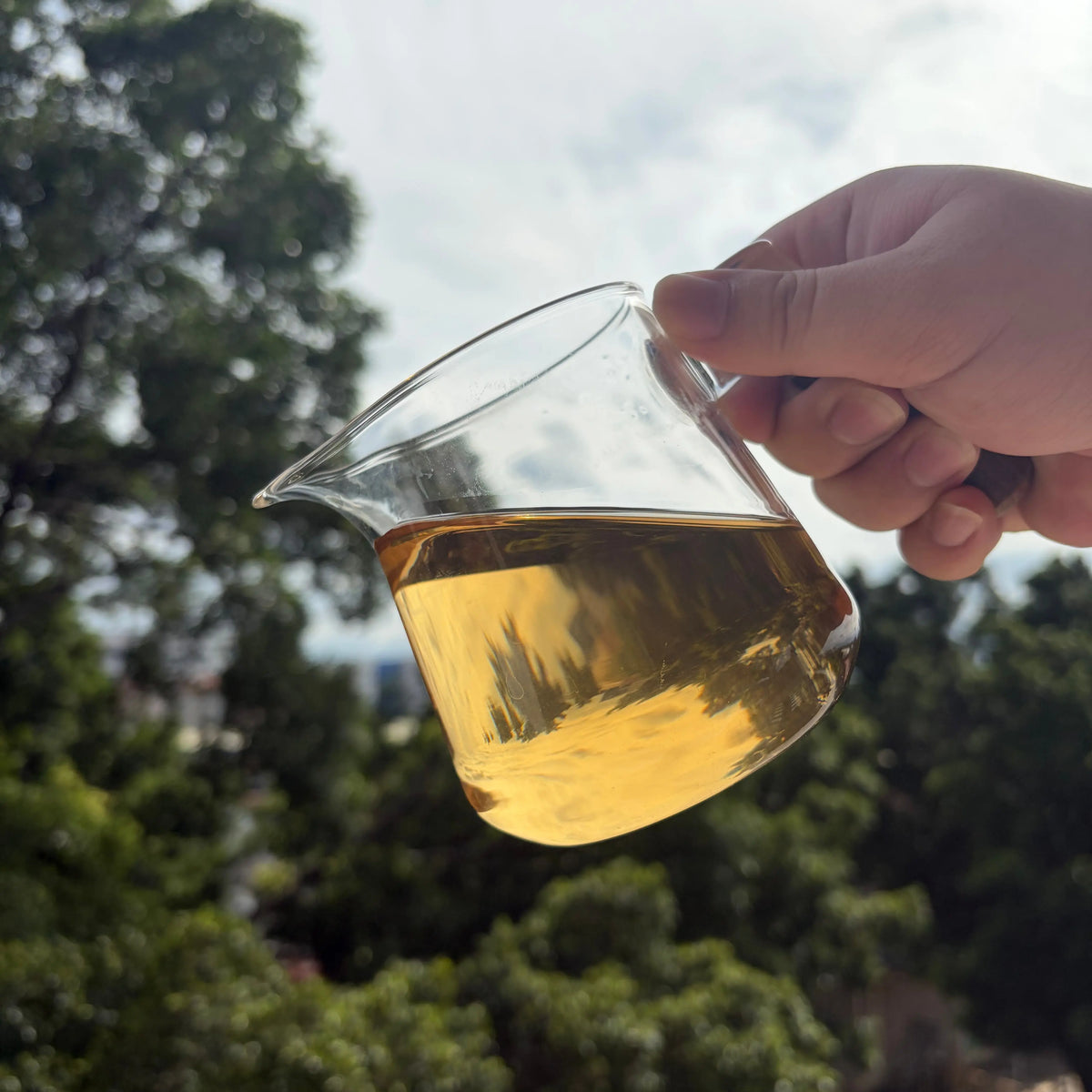 Ao Fu Hou Phoenix Dancong - Fine Tea zycschina