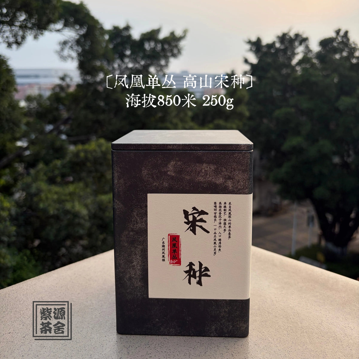 Gao Shan Song Zhong Phoenix Dancong - Fine Tea zycschina