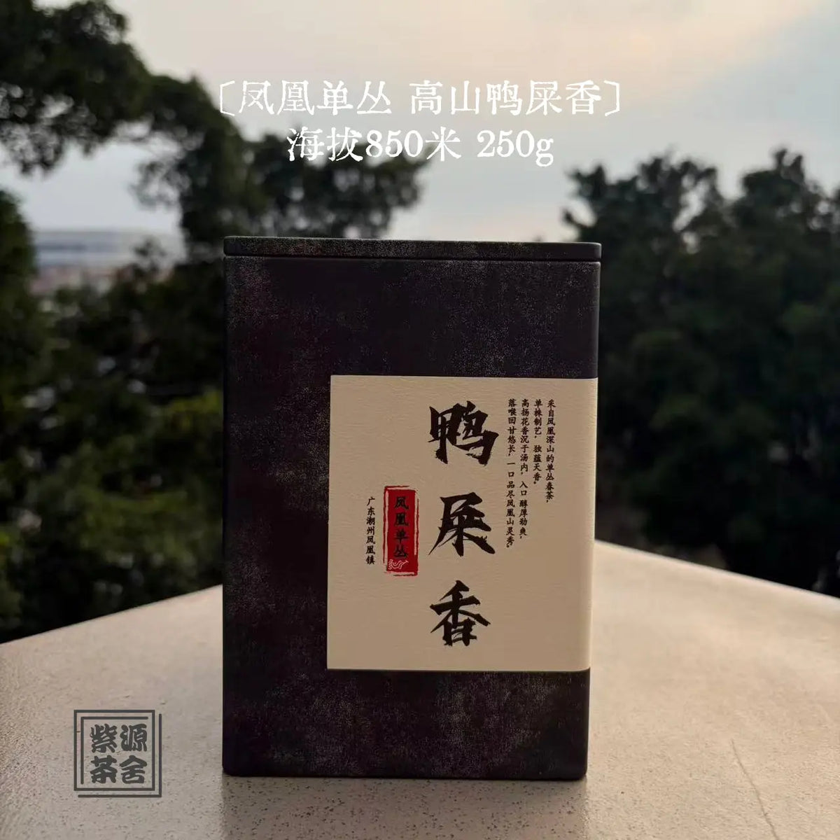 Gao Shan Ya Shi Xiang Phoenix Dancong - Fine Tea zycschina