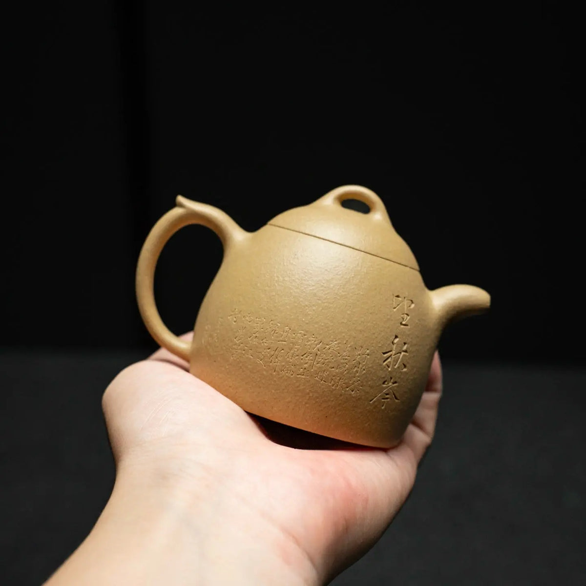 Guan Lan 180cc - Yixing Handmade Teapot 江苏宜兴