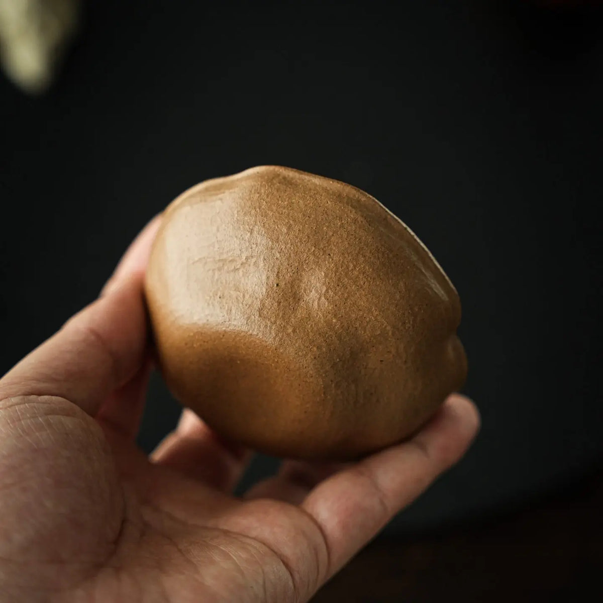 He Tang Yue Se 90cc - Yixing Handmade Teacup 江苏宜兴