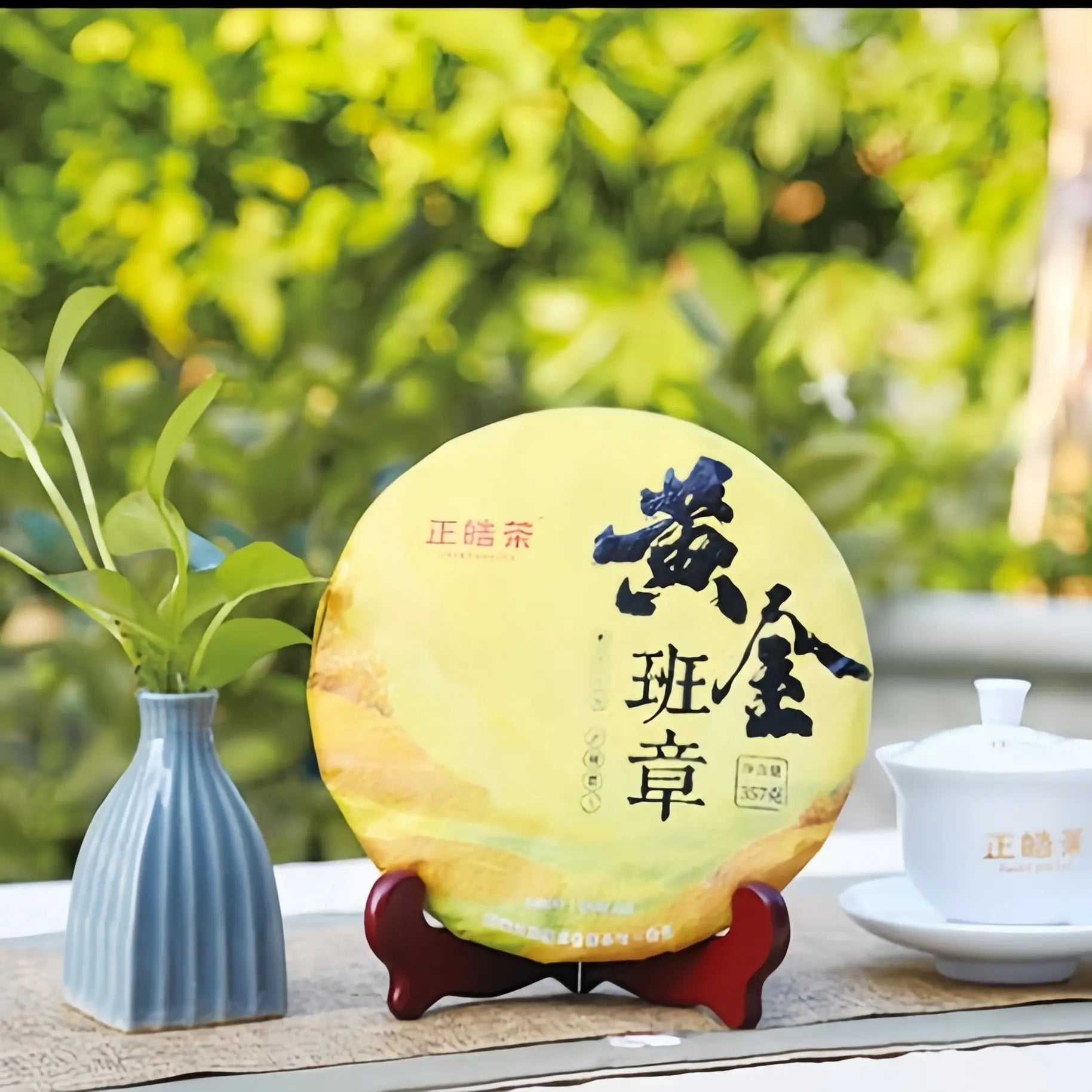 Huang Jin Ban Zhang Pu'er Tea - Fine Tea zycschina