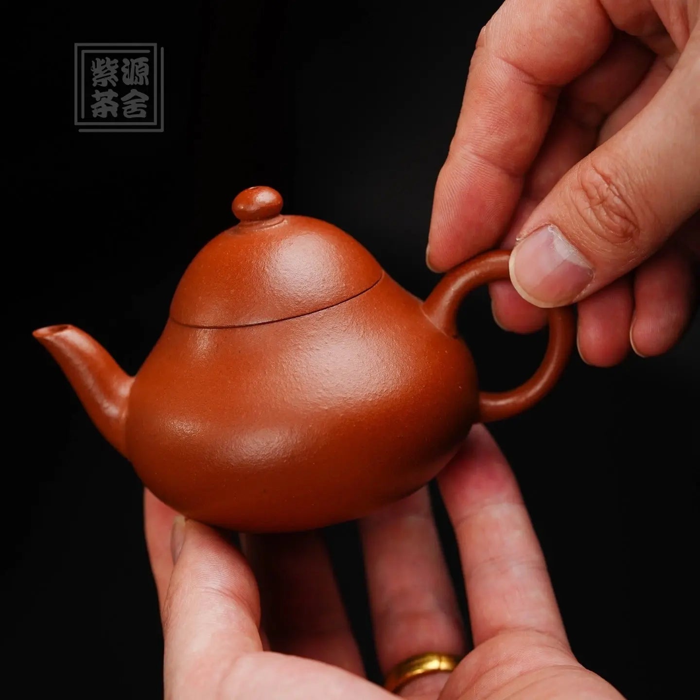 Li Shi 120cc - Yixing Handmade Teapot 江苏宜兴
