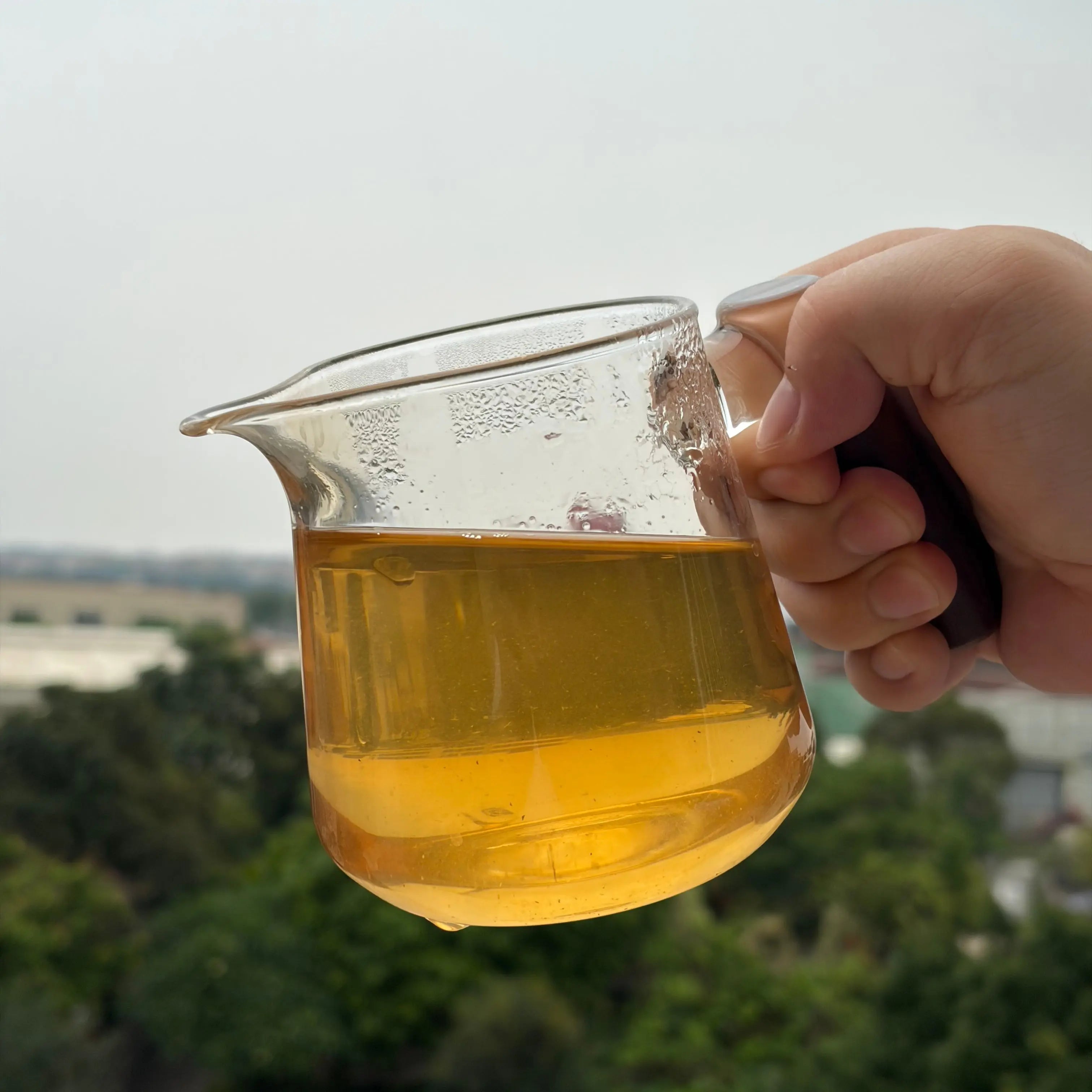 Lian Hua Wei Sheng Pu'er Tea - Fine Tea 【CA】 zycschina
