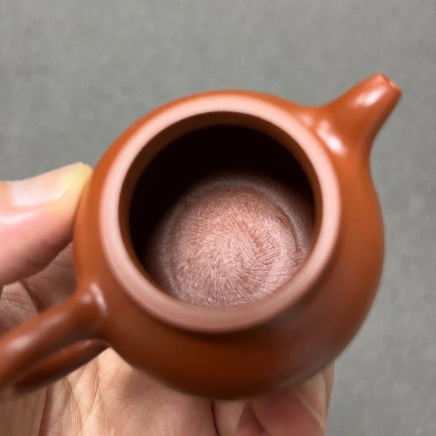 Lian Zi 60cc - Yixing Handmade Teapot 江苏宜兴