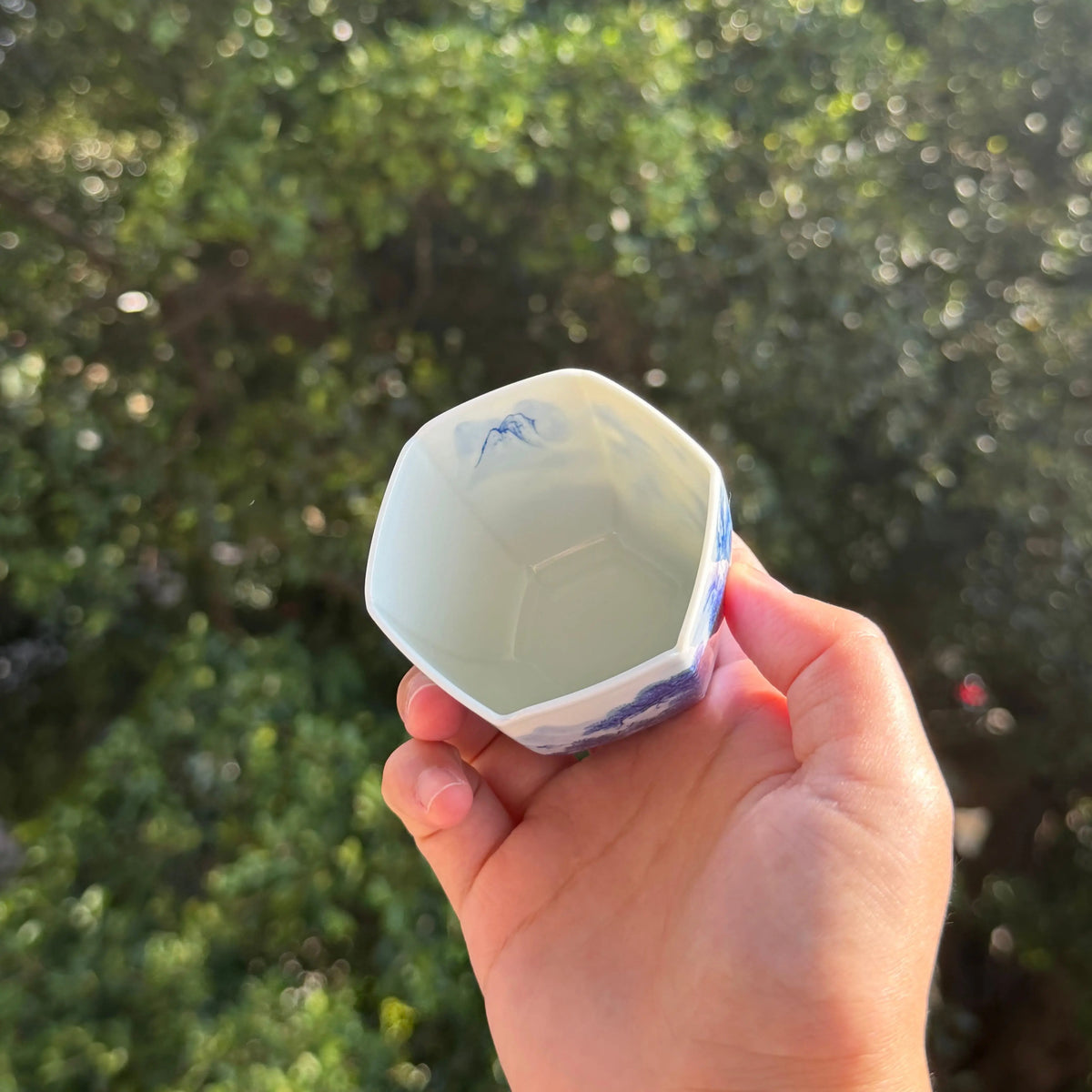 Liu Fang Shan Shui 100cc - Jingdezhen Porcelain Teacup zycschina