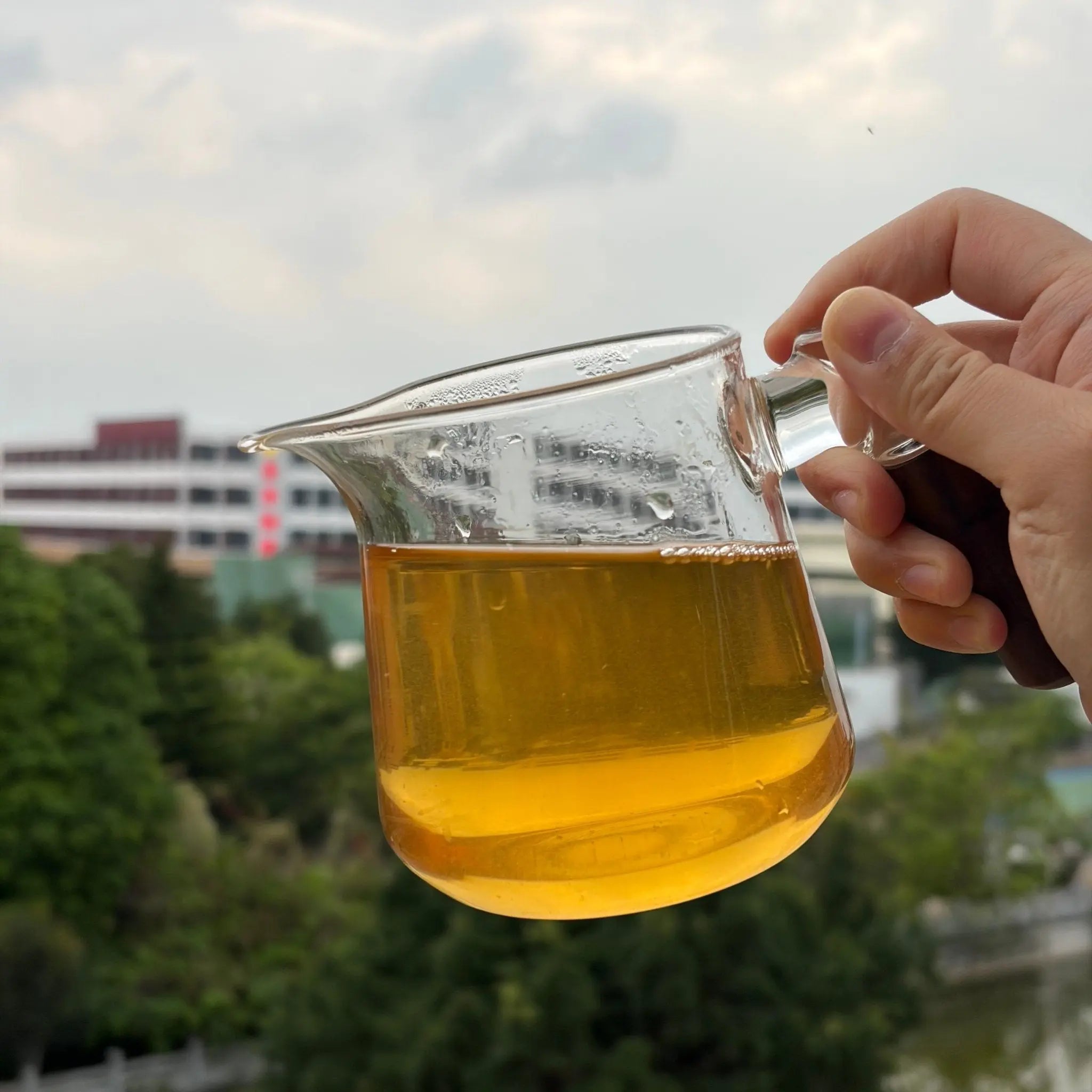 Ma Dao Cheng Gong Pu'er Tea - Fine Tea 【C】 zycschina