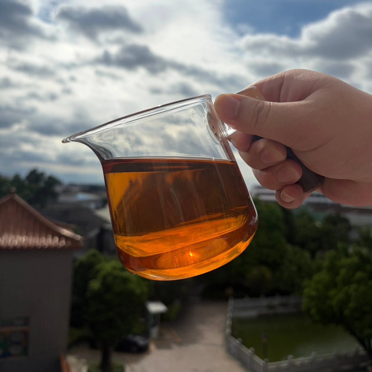 Mi Lan Xiang Phoenix Dancong - Fine Tea zycschina