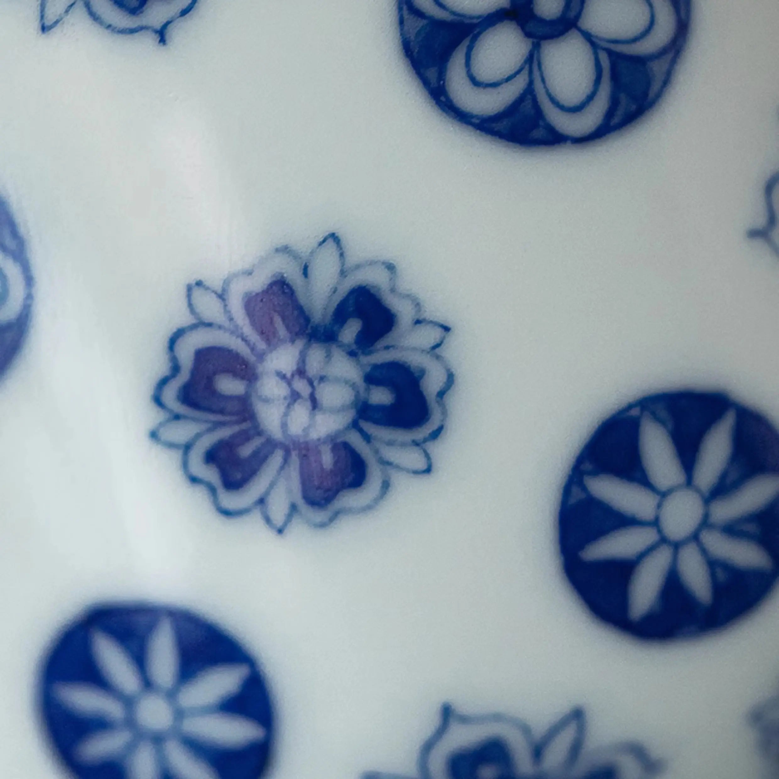 Pi Qiu Hua - Jing De Zhen Porcelain Gaiwan zycschina