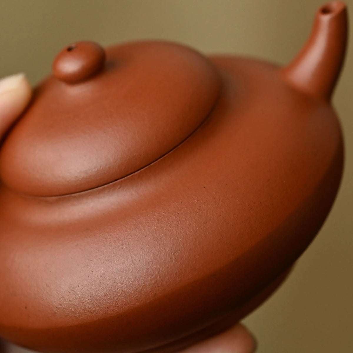 Ruo Yu 130cc - Yixing Handmade Teapot 江苏宜兴