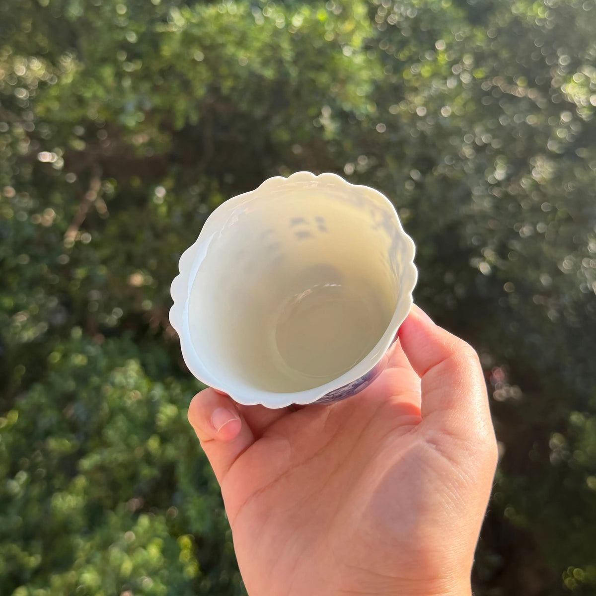Shi Fang 130cc - Jingdezhen Porcelain Teacup zycschina