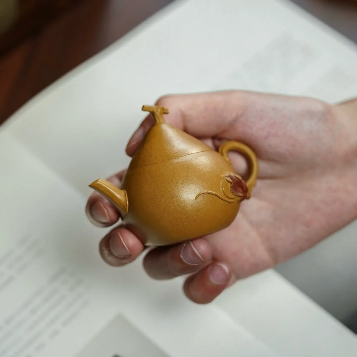 Wen Shi 60cc - Yixing Handmade Teapot 江苏宜兴