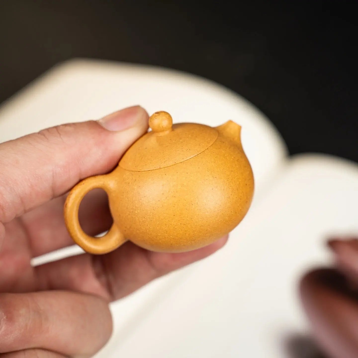 Xi Shi 35cc - Yixing Handmade Teapot 江苏宜兴