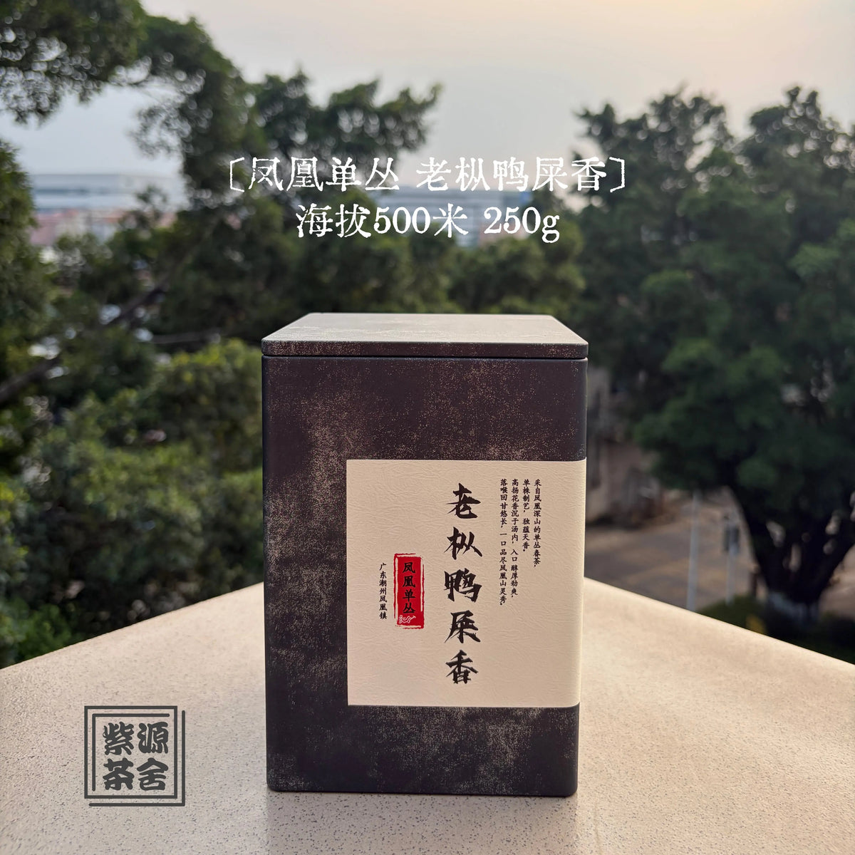 Ya Shi Xiang Phoenix Dancong - Fine Tea zycschina