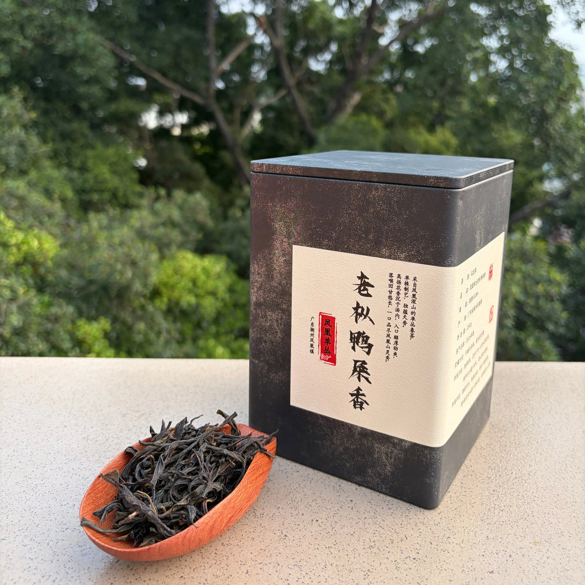 Ya Shi Xiang Phoenix Dancong - Fine Tea zycschina