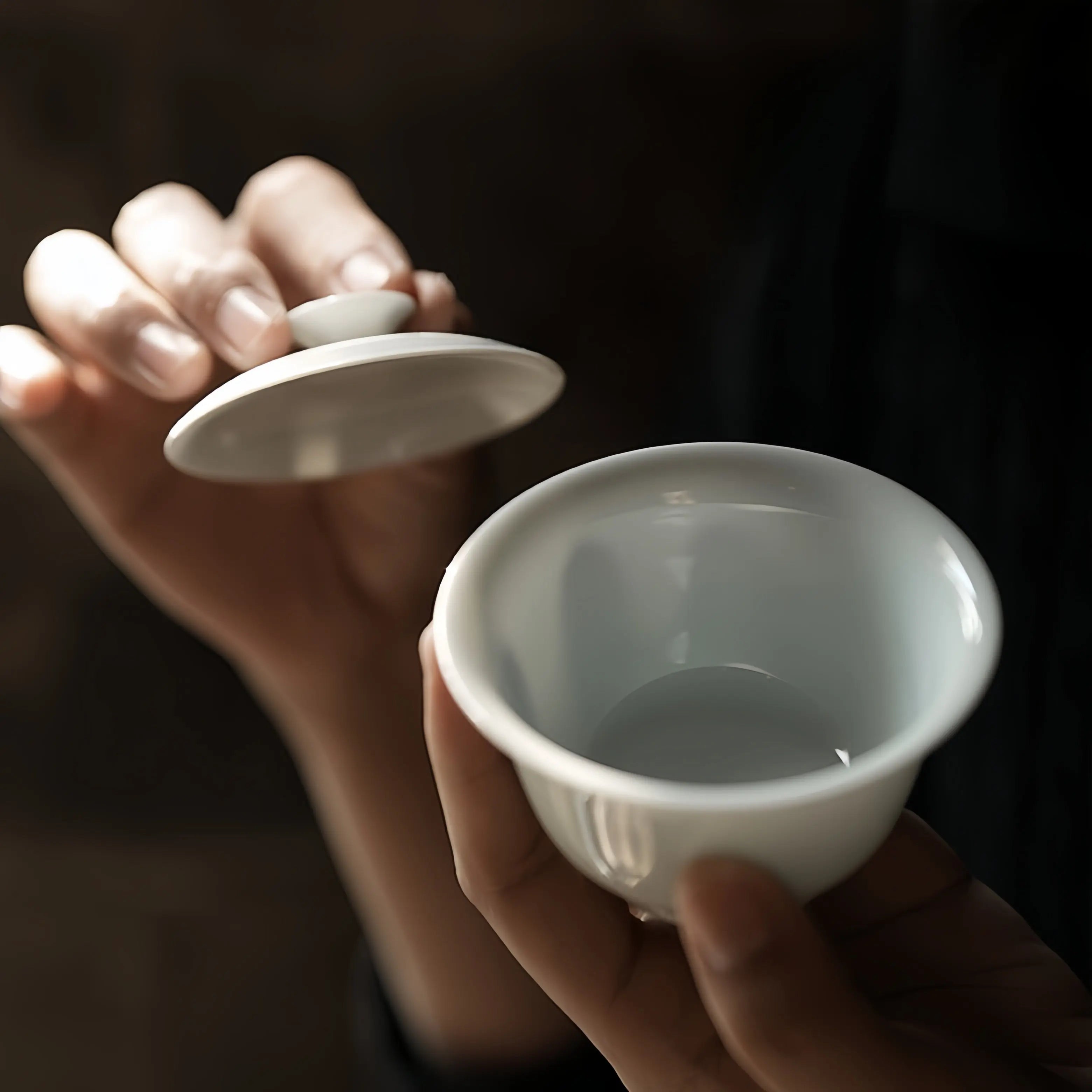 Yi Dai/Er Dai Shen Ping 80/110/130/150cc - Jing De Zhen Porcelain Gaiwan zycschina