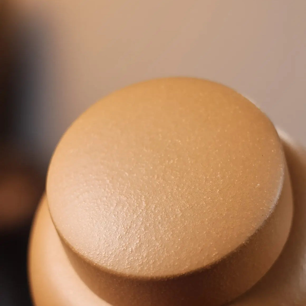 Zi Le - Yixing Handmade Zisha Teacan 江苏宜兴