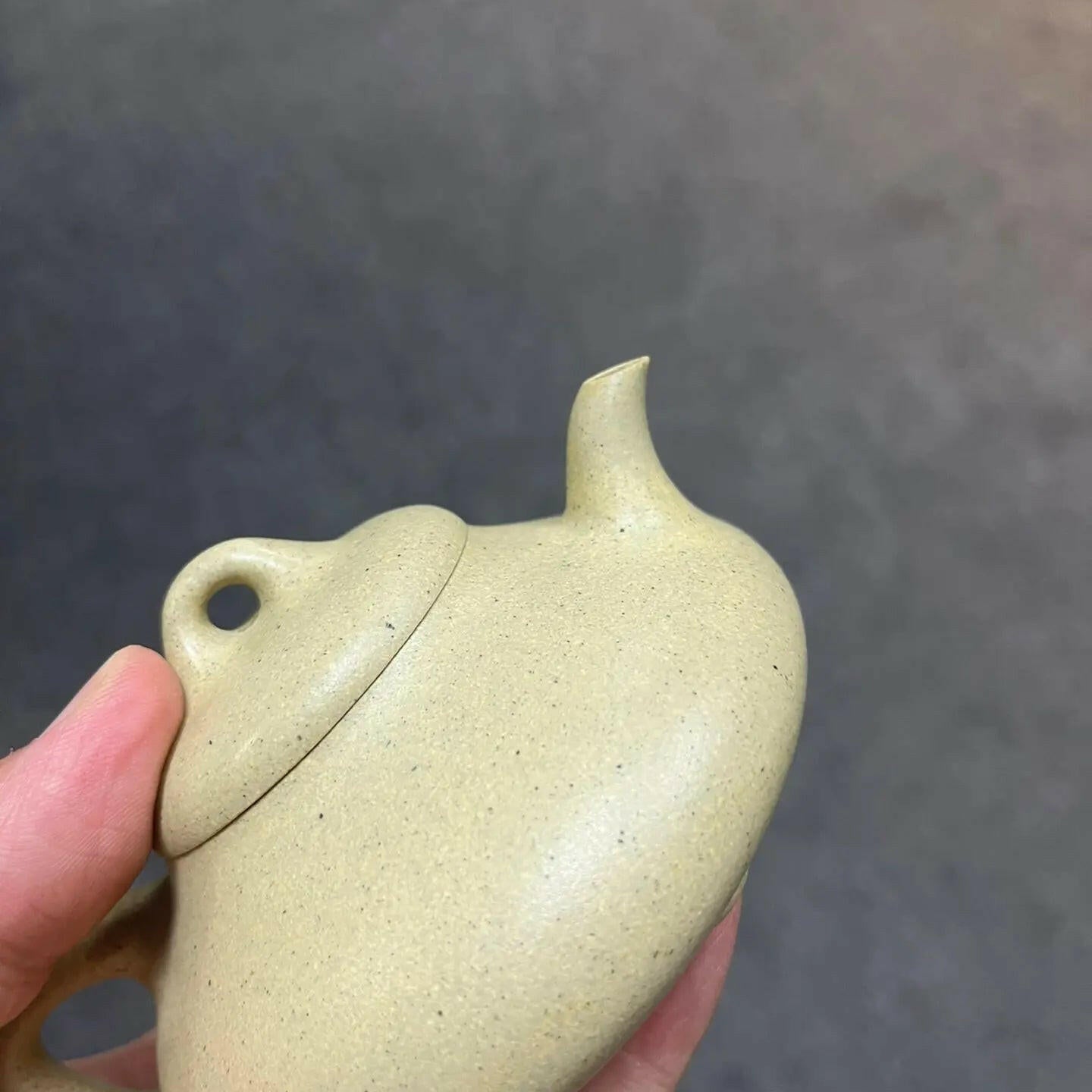 Li Zhu 200cc - Yixing Handmade Teapot - zycs_China - tea - teapot