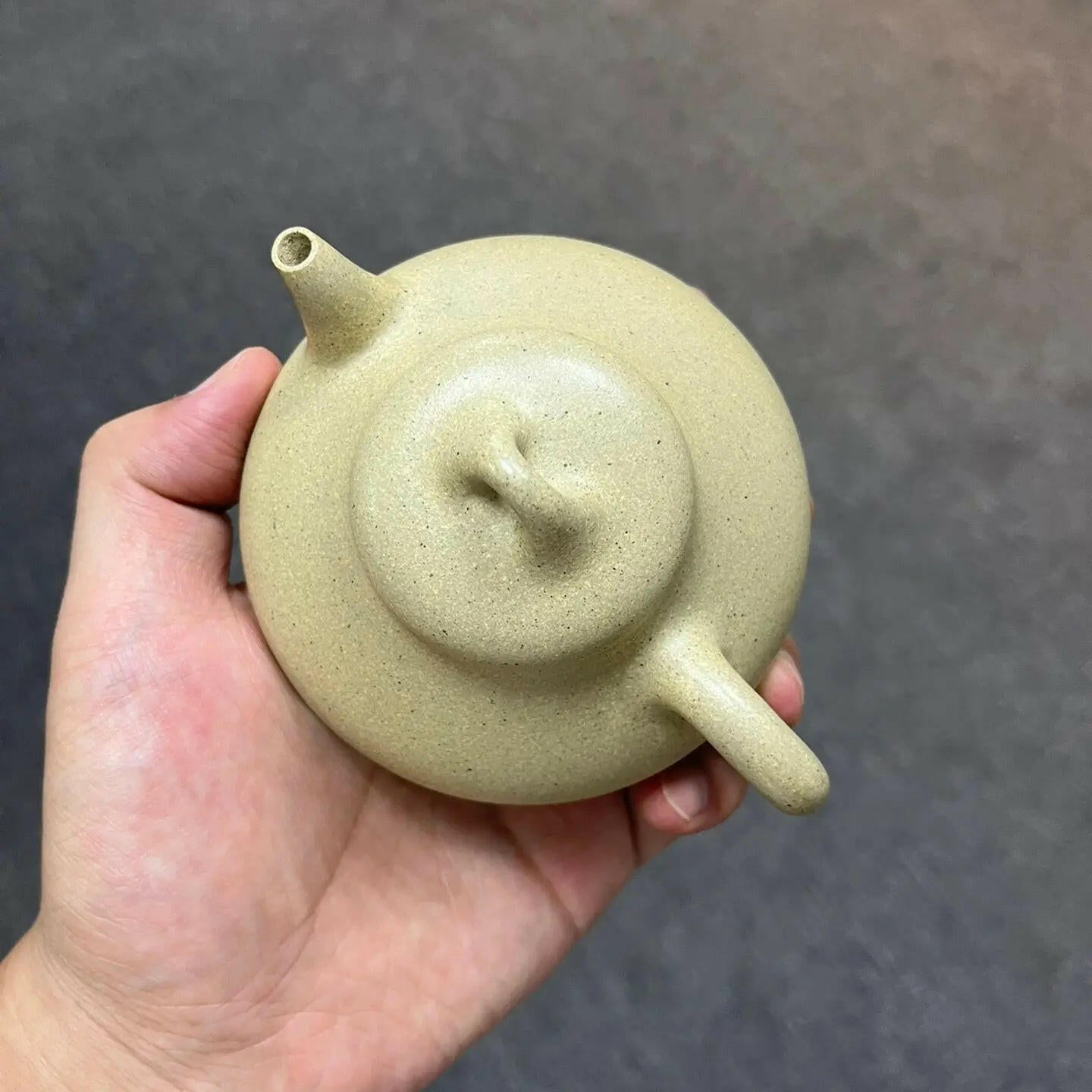 Li Zhu 200cc - Yixing Handmade Teapot - zycs_China - tea - teapot