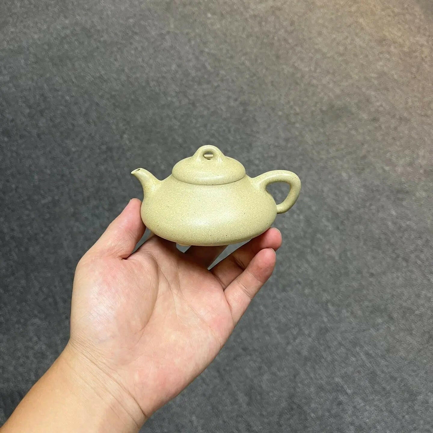 Li Zhu 200cc - Yixing Handmade Teapot - zycs_China - tea - teapot