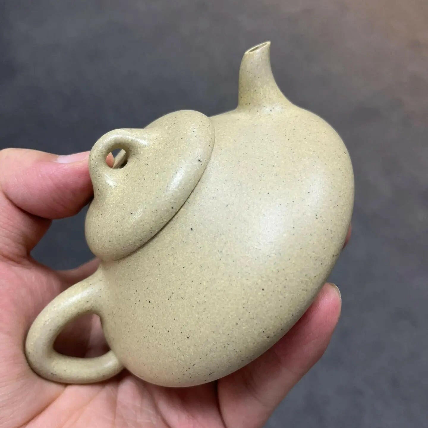 Li Zhu 200cc - Yixing Handmade Teapot - zycs_China - tea - teapot