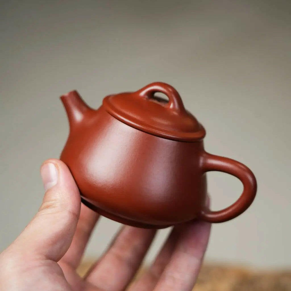 Pu Piao 140cc - Yixing Handmade Teapot - zycs_China - tea - teapot