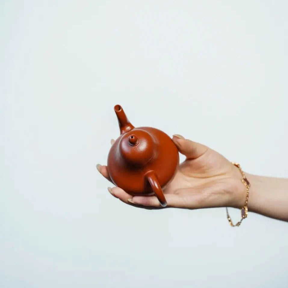 Si Ting 150cc - Yixing Handmade Teapot - zycs_China - tea - teapot