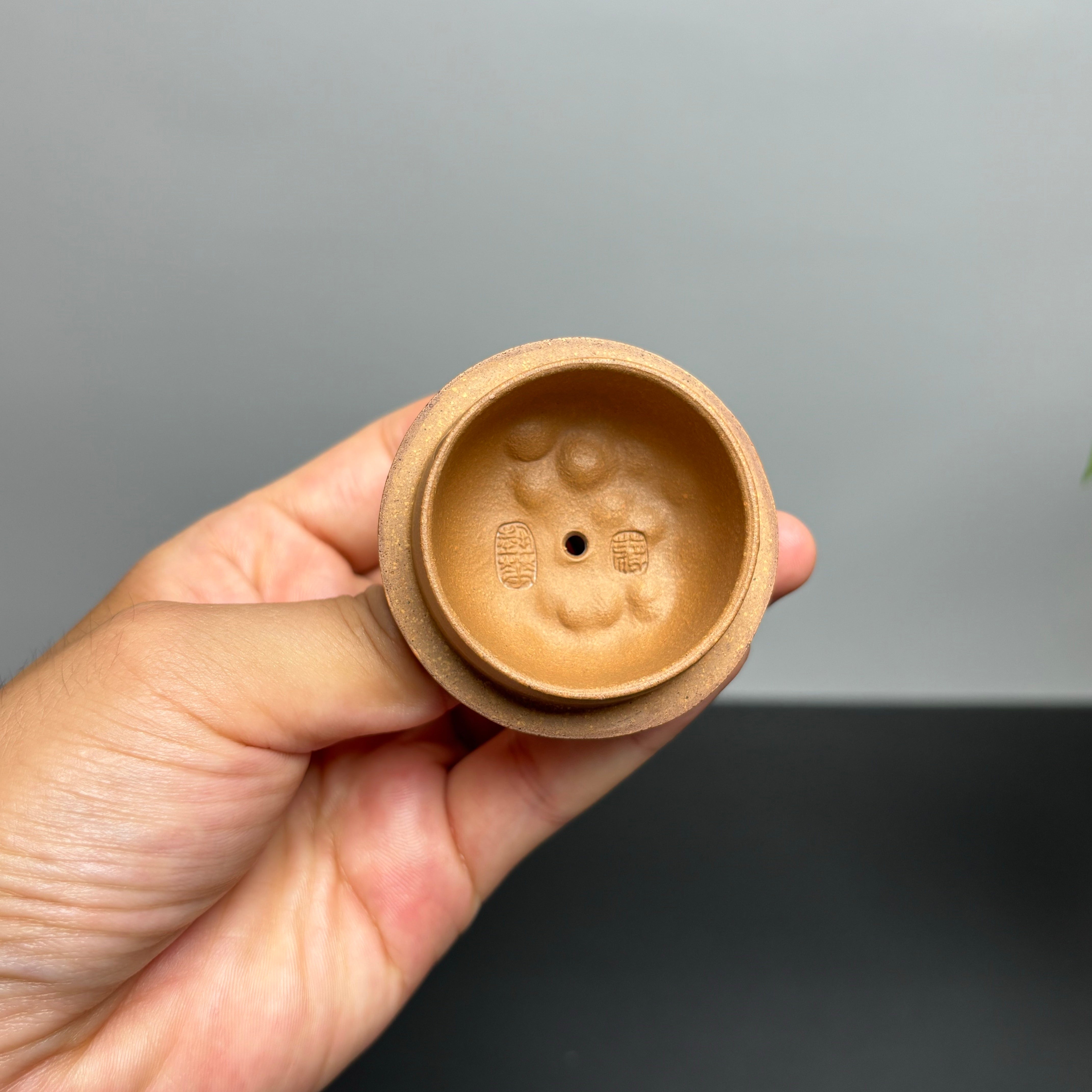 Long Teng Gong Chun 220cc - Yixing Handmade Teapot zycschina