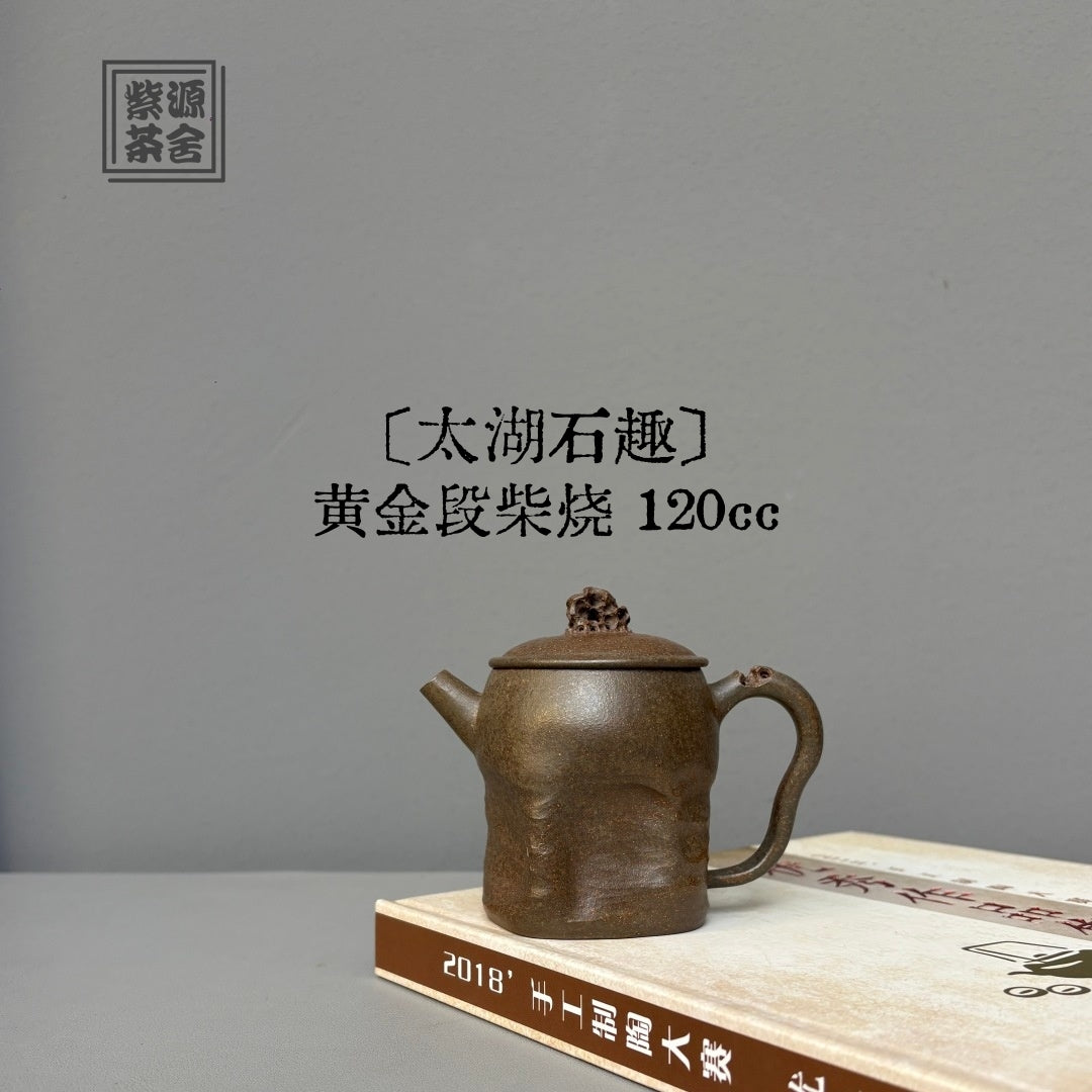 Tai Hu Shi Qu 120cc - Yixing Handmade Teapot 江苏宜兴