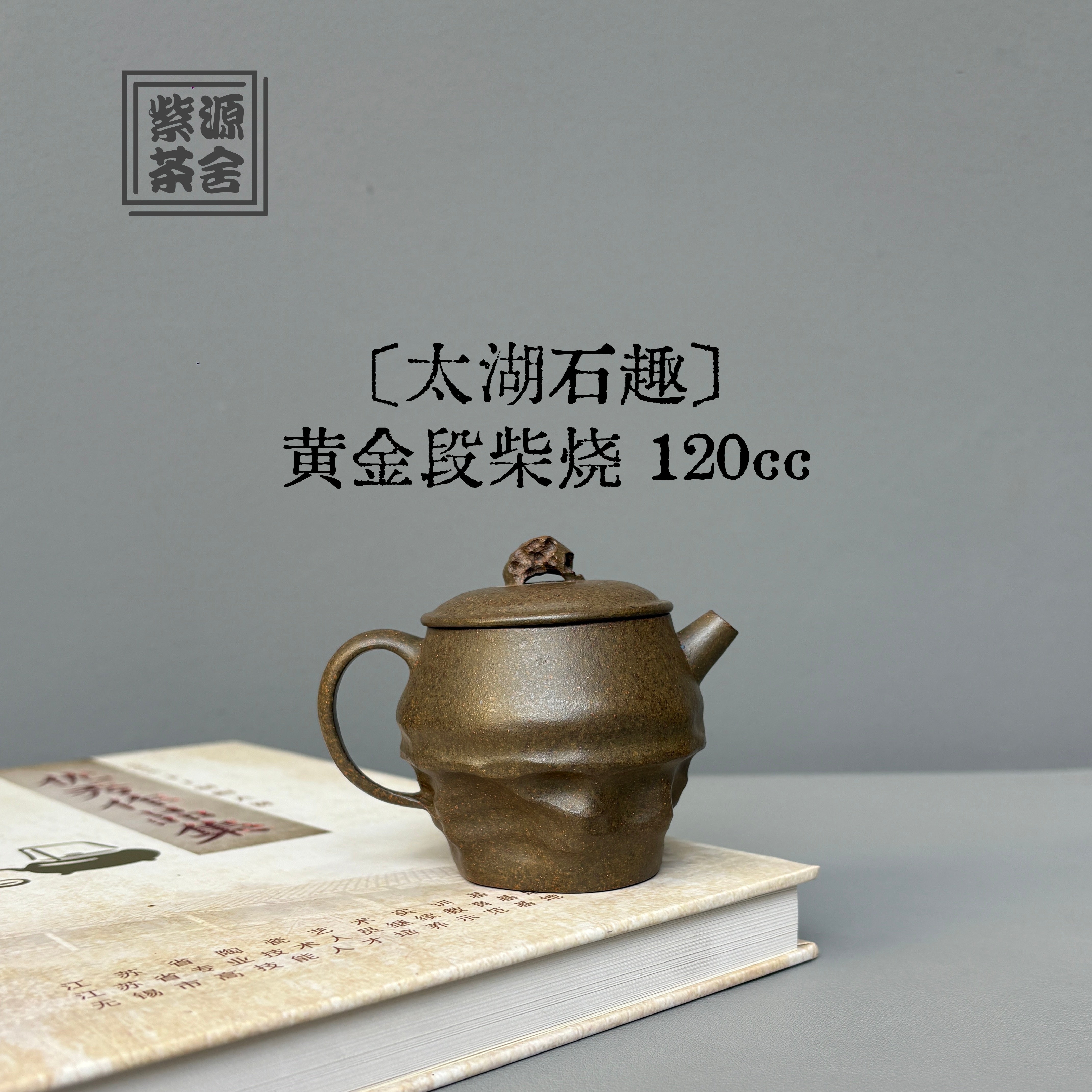 Tai Hu Shi Qu 120cc - Yixing Handmade Teapot 江苏宜兴