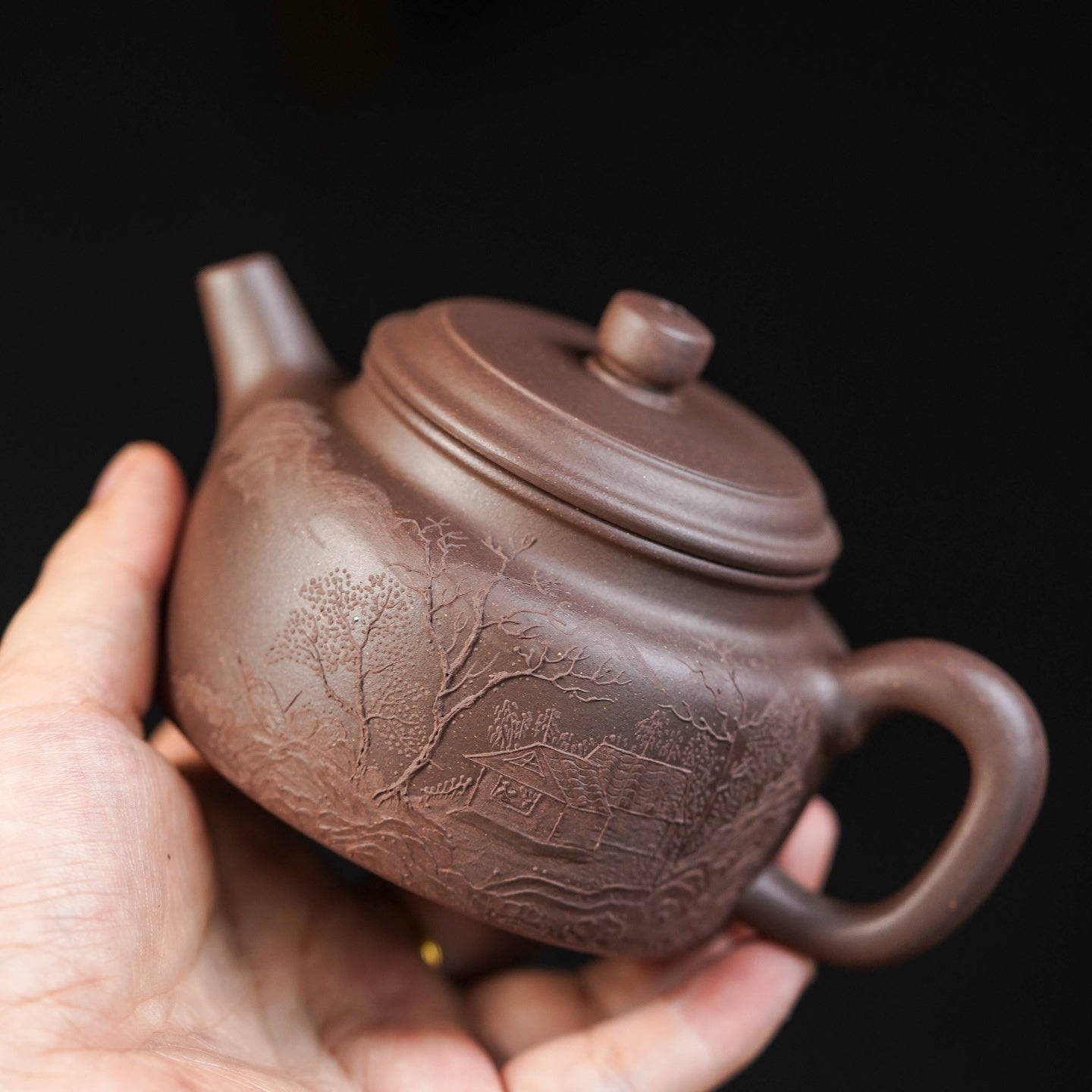 De Zhong 200cc - Yixing Handmade Teapot 江苏宜兴