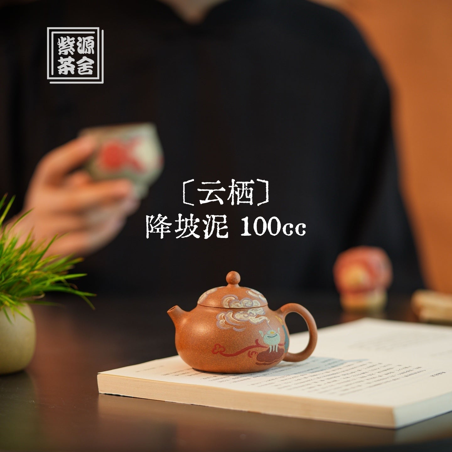Yun Qi 100cc - Yixing Handmade Teapot 江苏宜兴