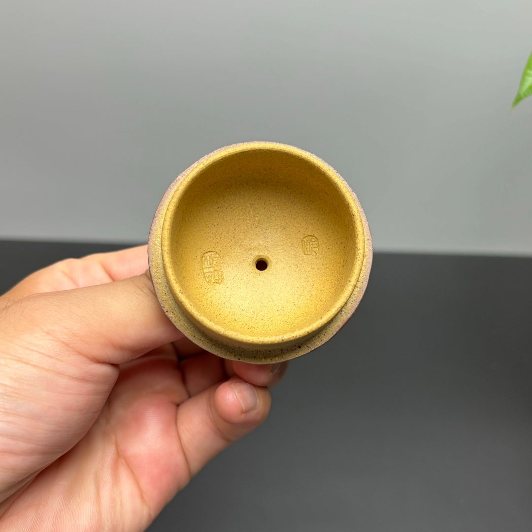 Man Bu Ren Sheng 200cc - Yixing Handmade Teapot 江苏宜兴