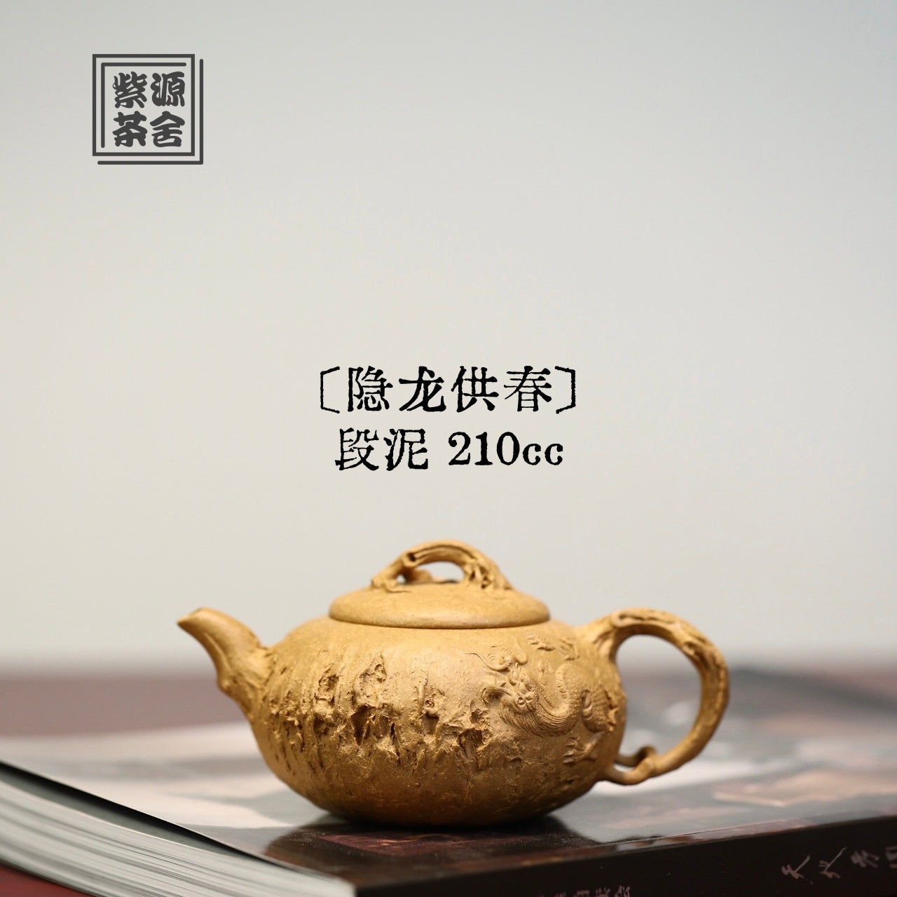 Yin Long Gong Chun 210cc - Yixing Handmade Teapot 江苏宜兴