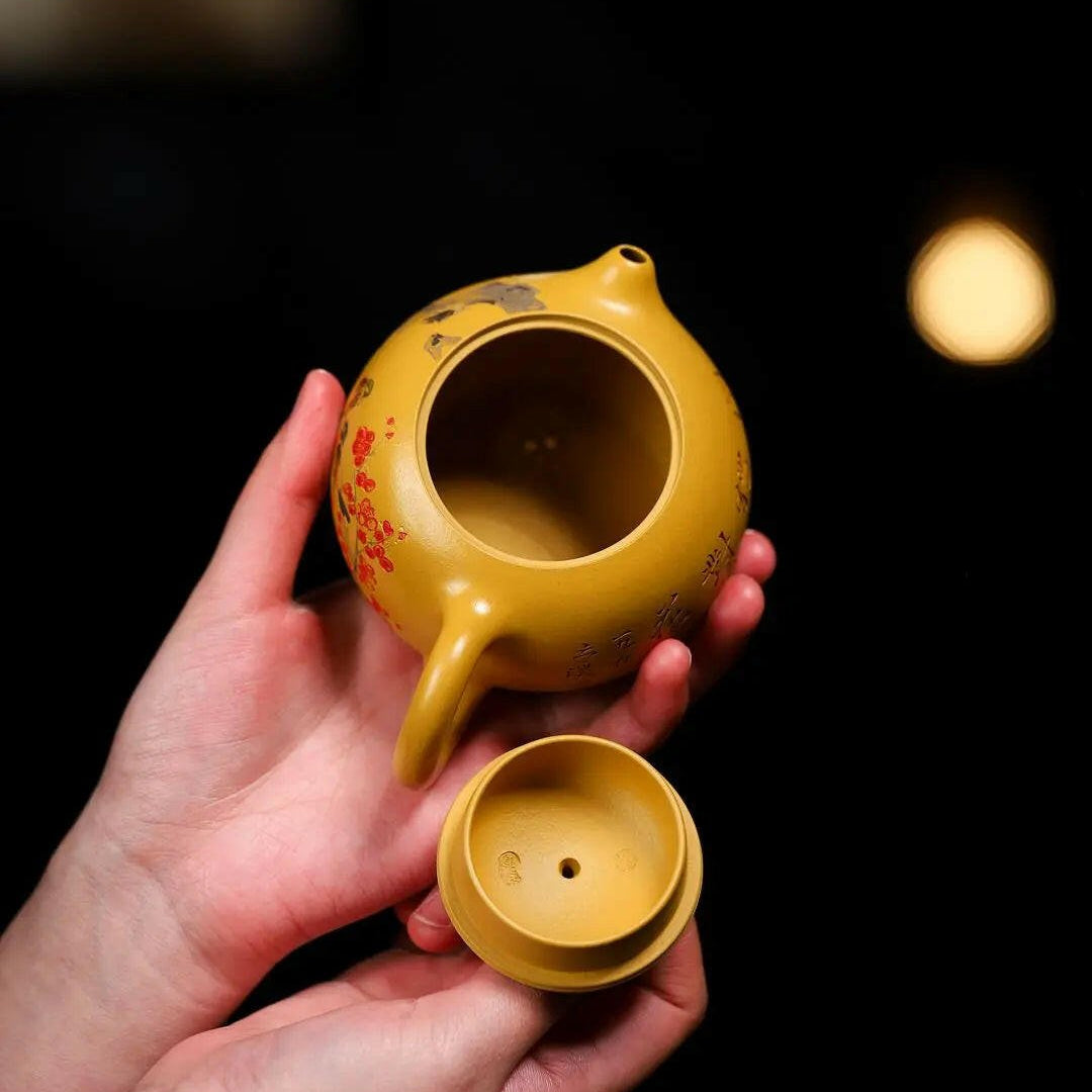 Xi Shi 230cc - Yixing Handmade Teapot - zycs_China - tea - teapot