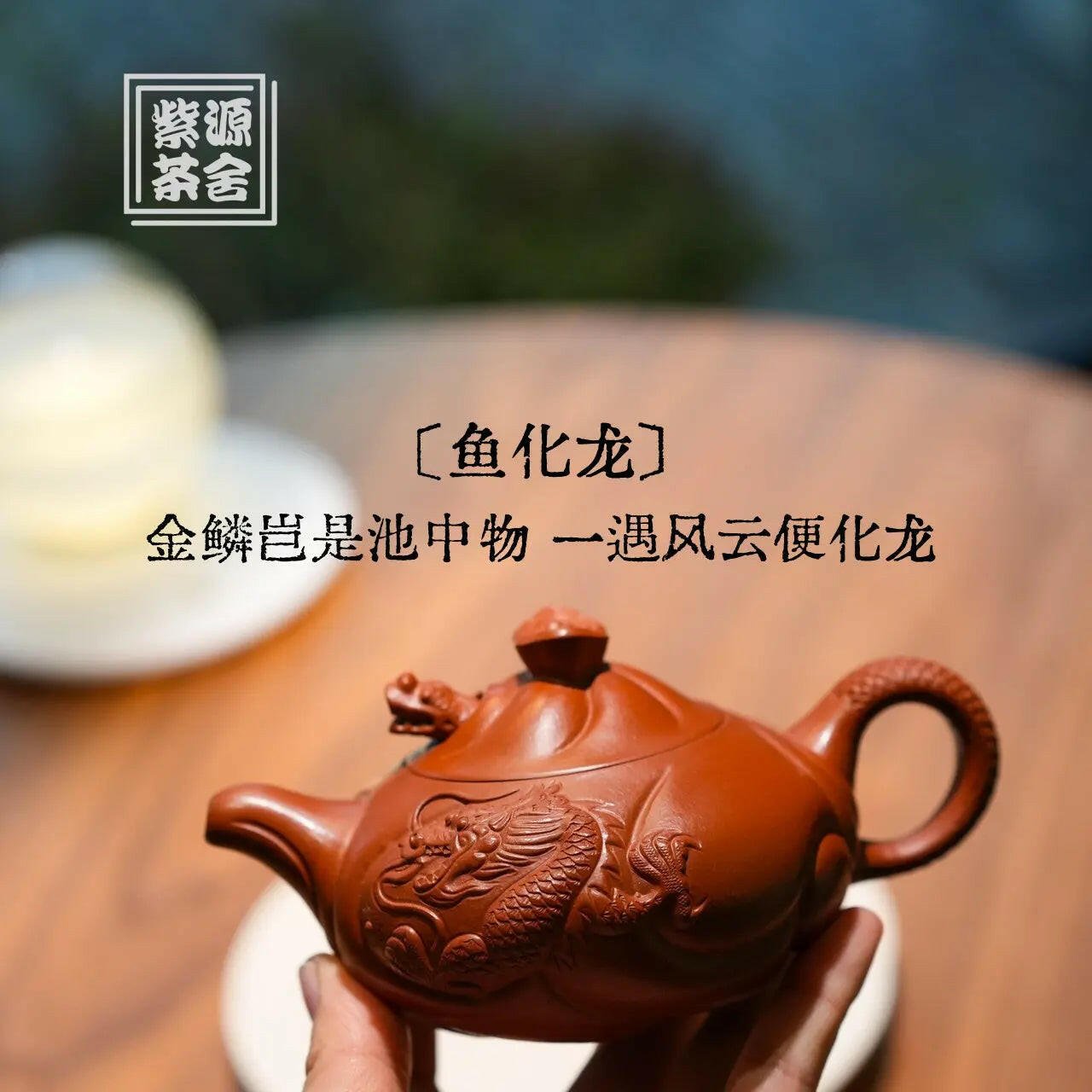 Yu Hua Long 120cc - Yixing Handmade Teapot - zycs_China - tea - teapot