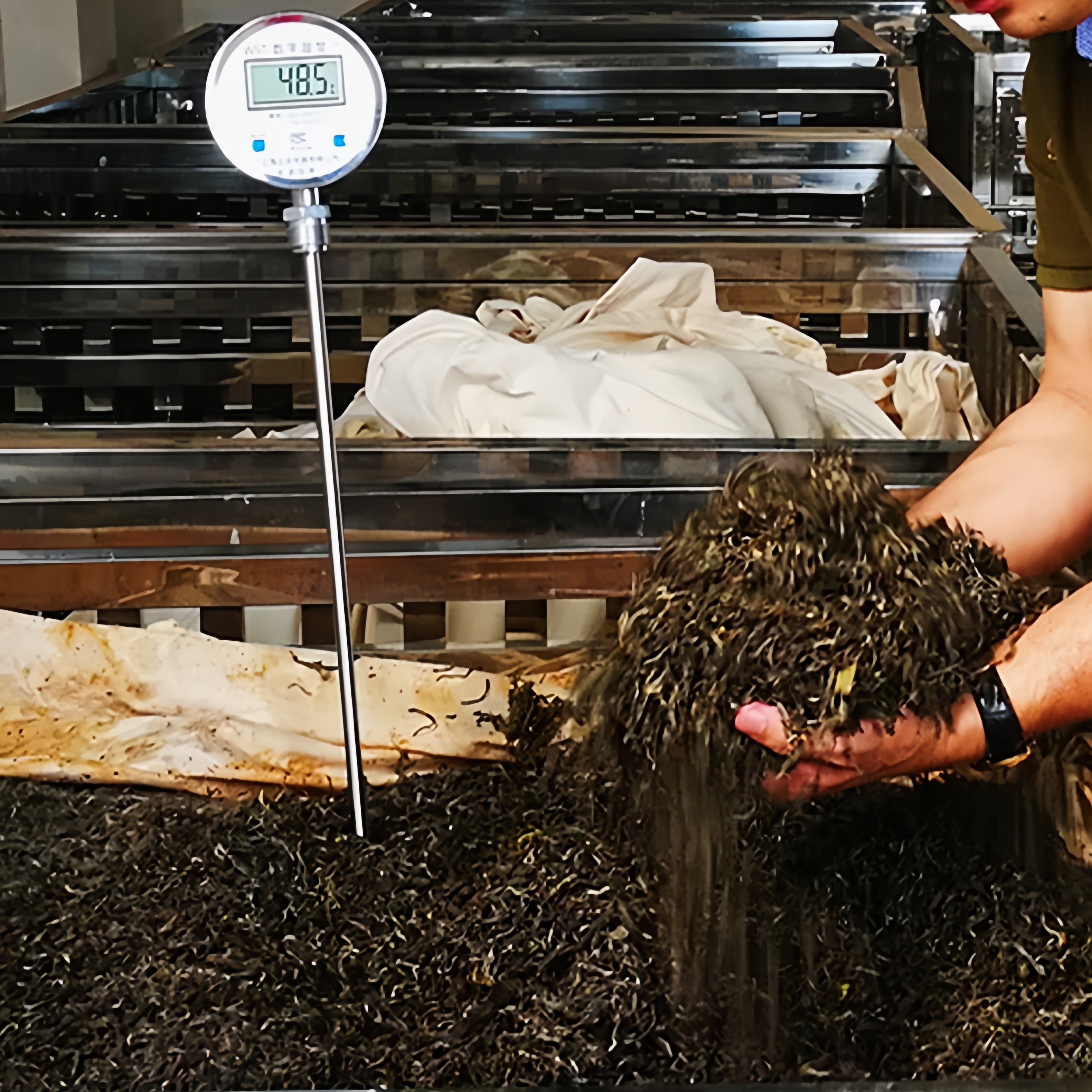 Long Zhu Pu'er Tea - Fine Tea zycschina