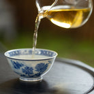 Song Gu Xun You - Jing De Zhen Porcelain Teacup zycschina