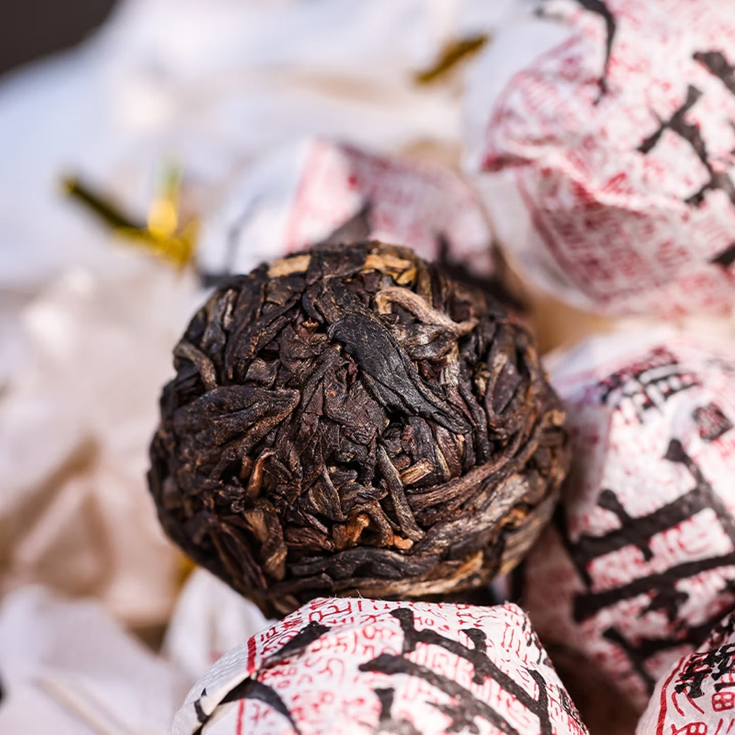 Da Ban Zhuang Long Zhu Pu'er Tea - Fine Tea zycschina