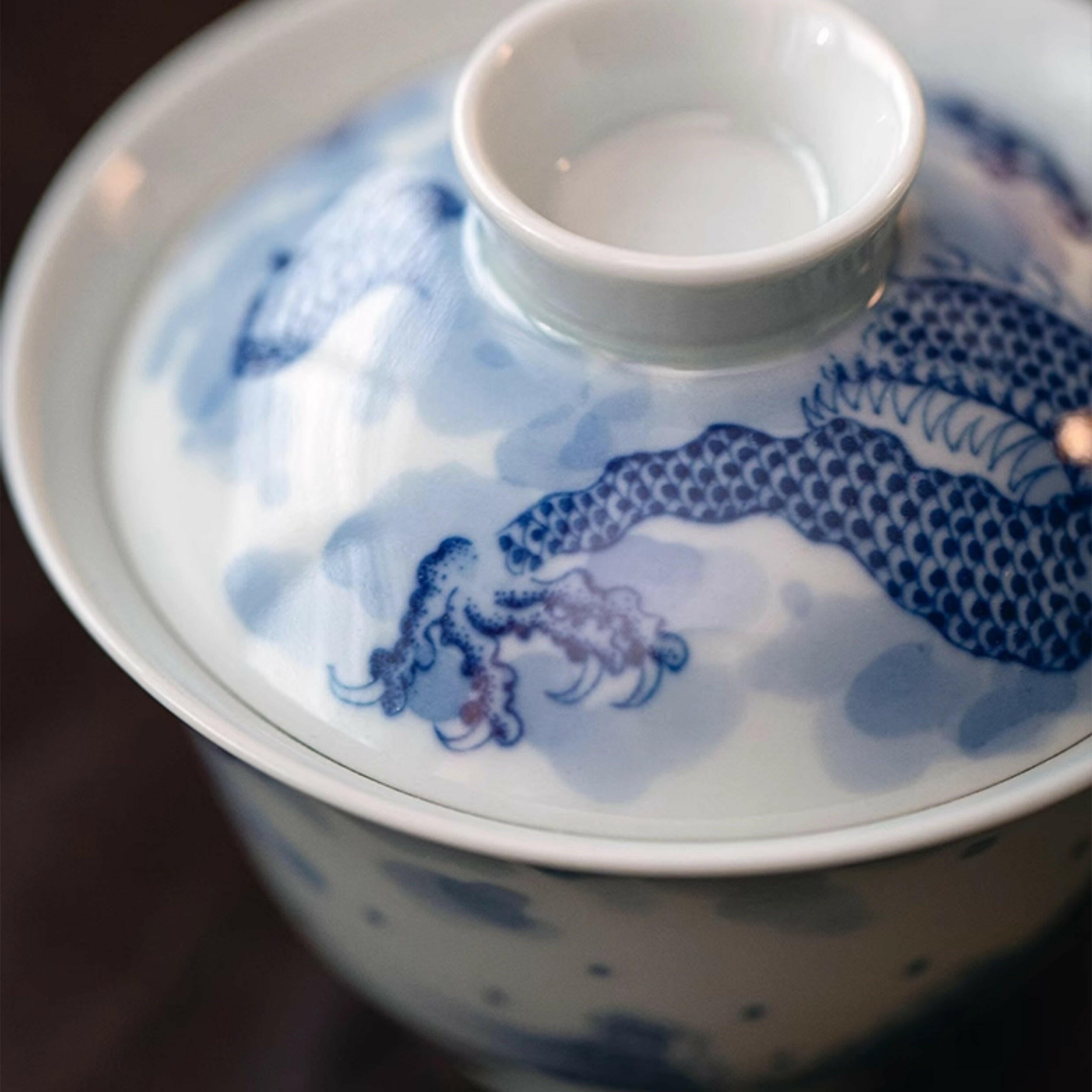 Yun Hai Teng Long/ Teng Long Fan Juan  - Jing De Zhen Porcelain Gaiwan zycschina
