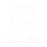 zycs_China