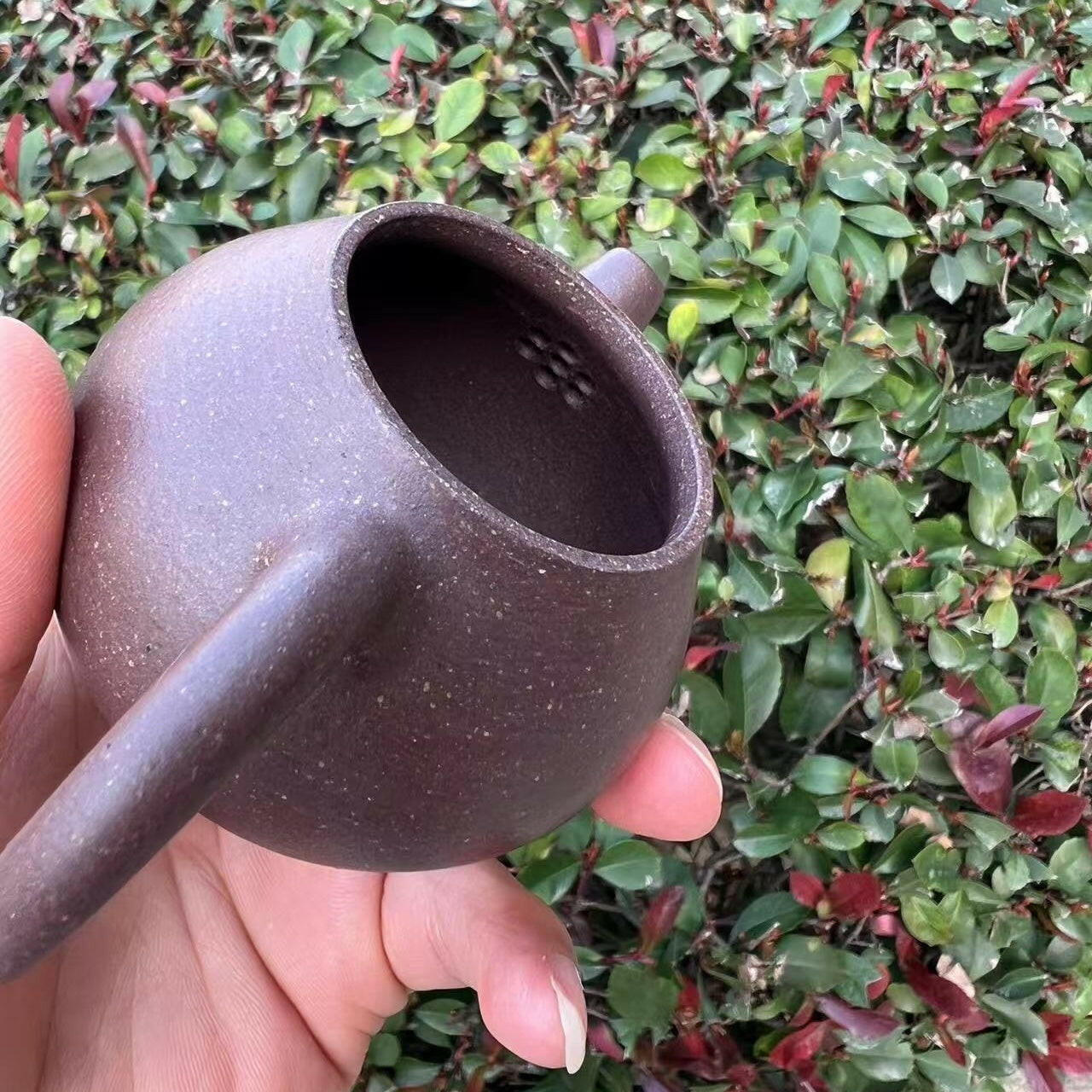 Wen Dan 130cc - Yixing Handmade Teapot 江苏宜兴