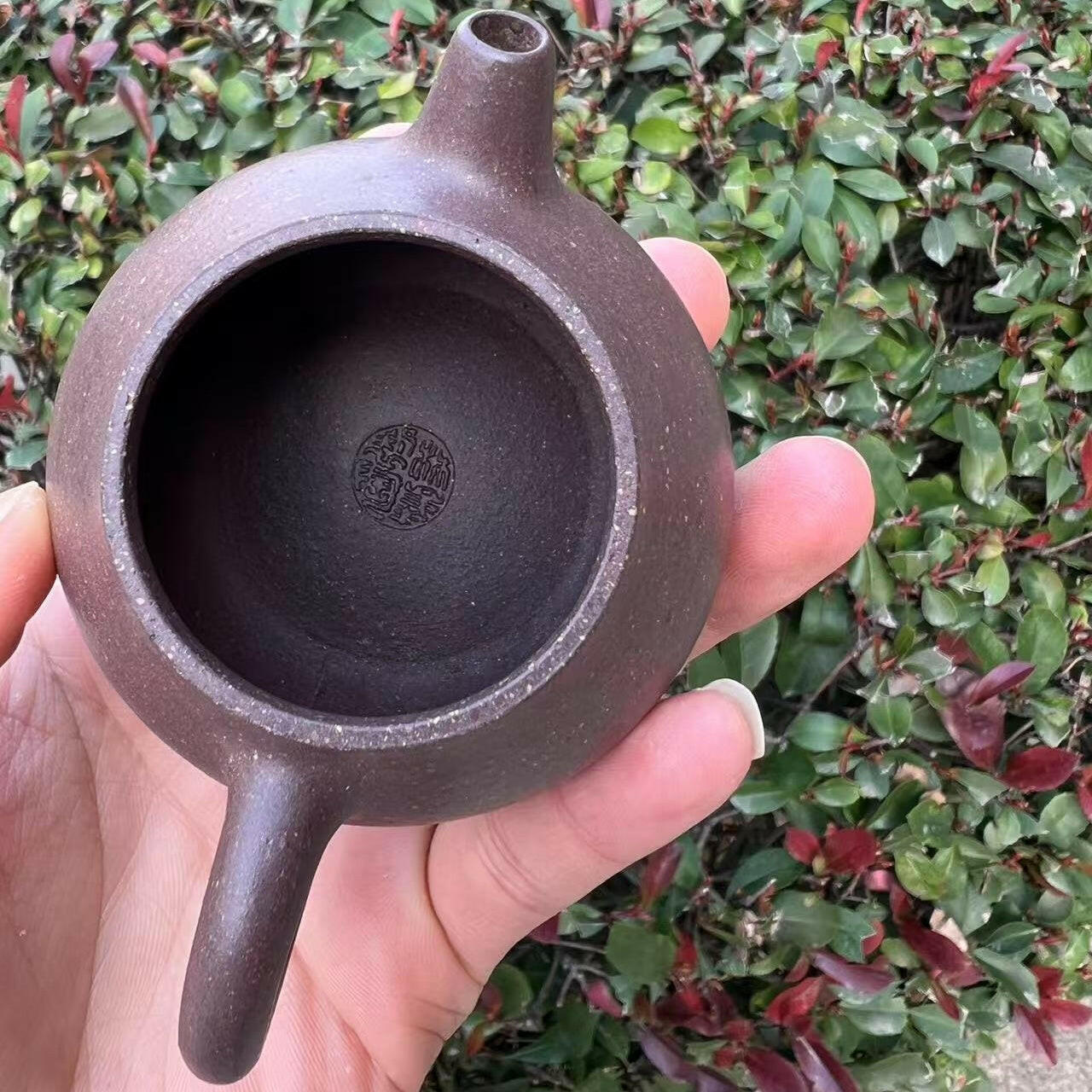 Wen Dan 130cc - Yixing Handmade Teapot 江苏宜兴