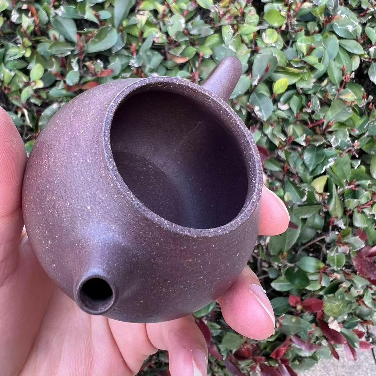 Wen Dan 130cc - Yixing Handmade Teapot 江苏宜兴