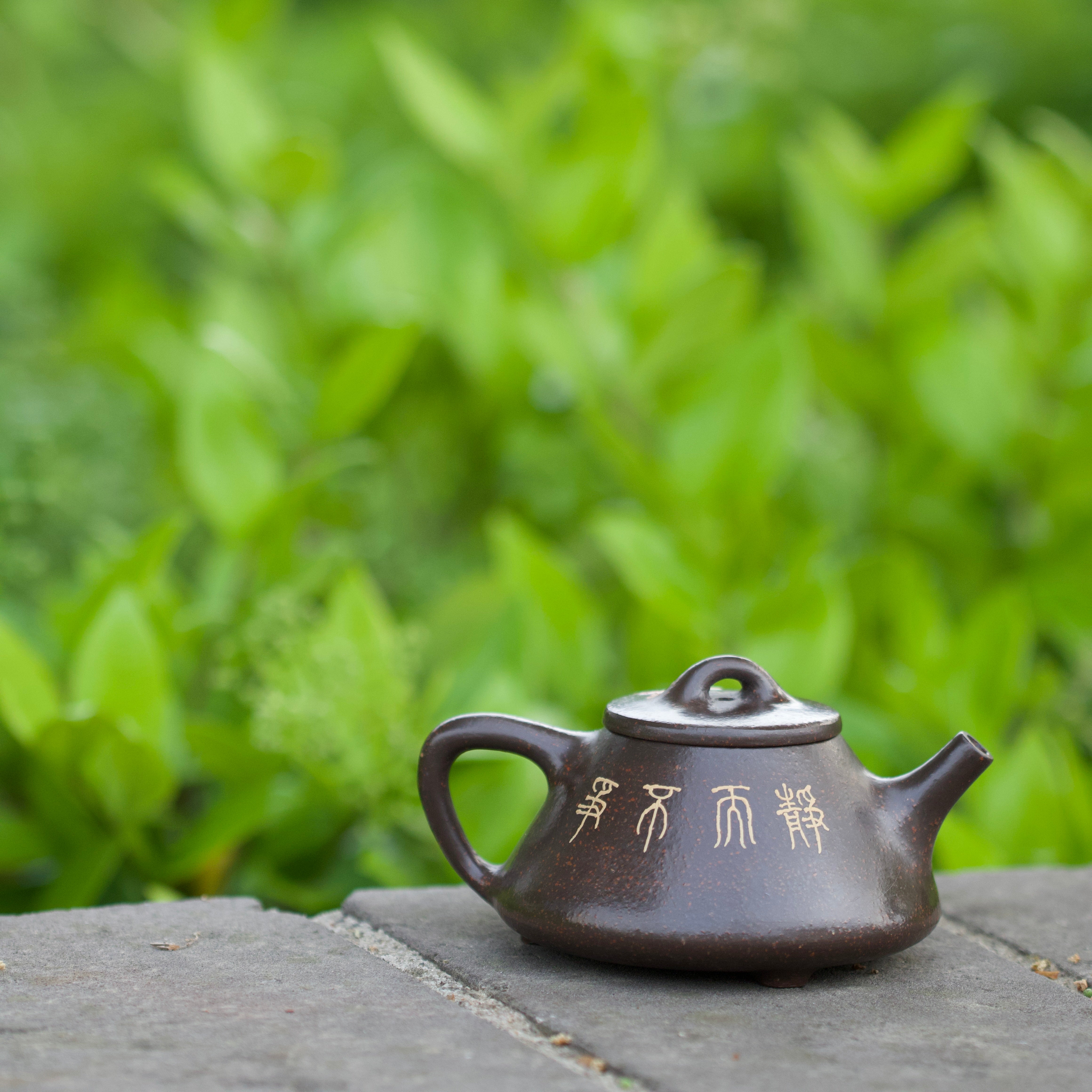 Xi Shang Mei Shao 100cc - Yixing Handmade Teapot.